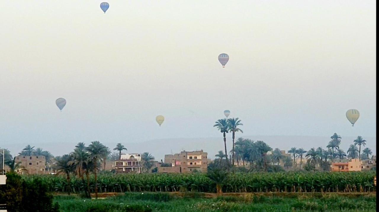 Luxor Guest House Bagian luar foto