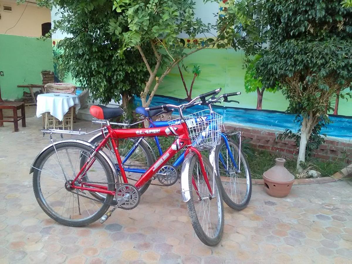 Luxor Guest House Bagian luar foto