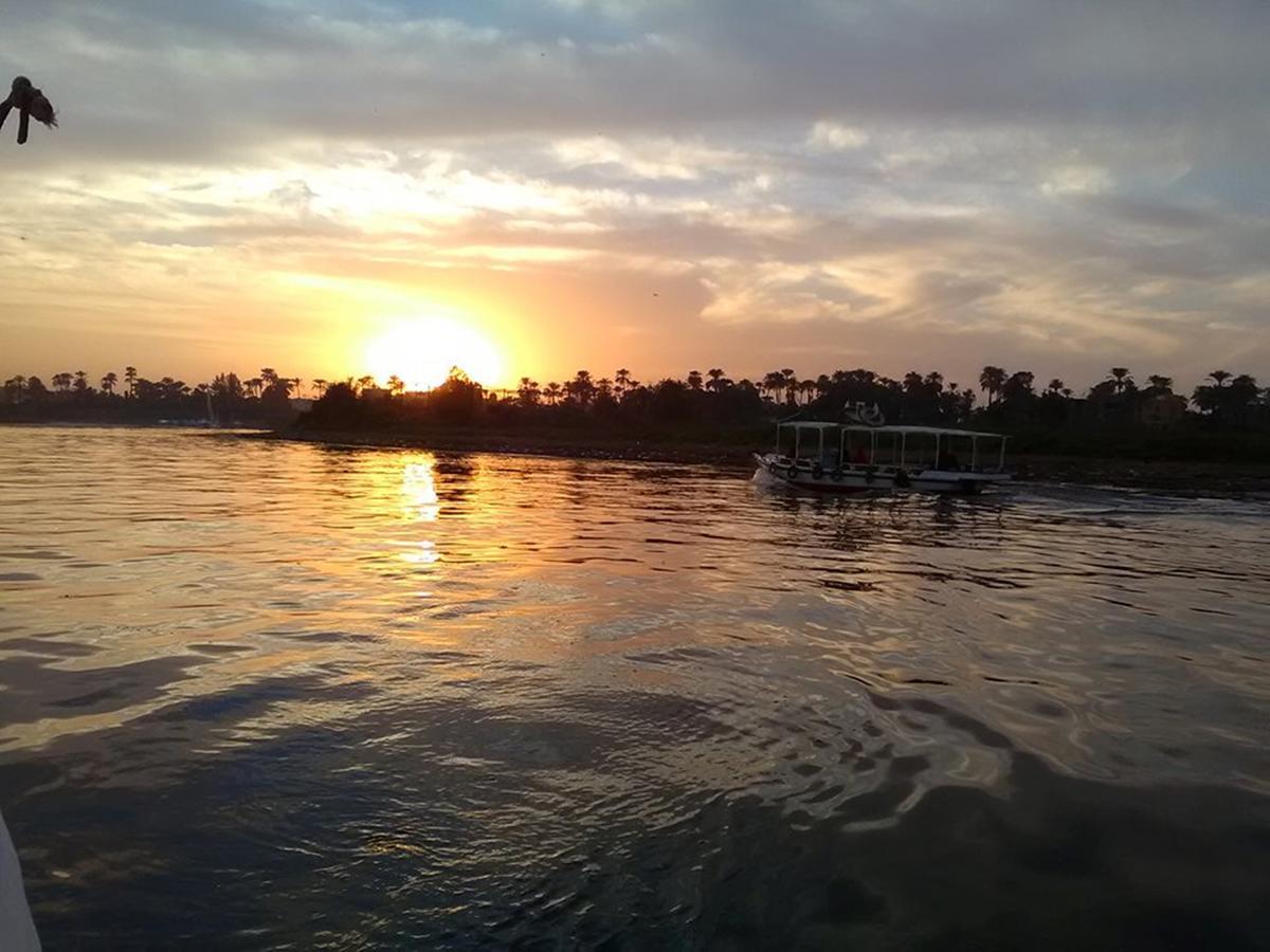 Luxor Guest House Bagian luar foto