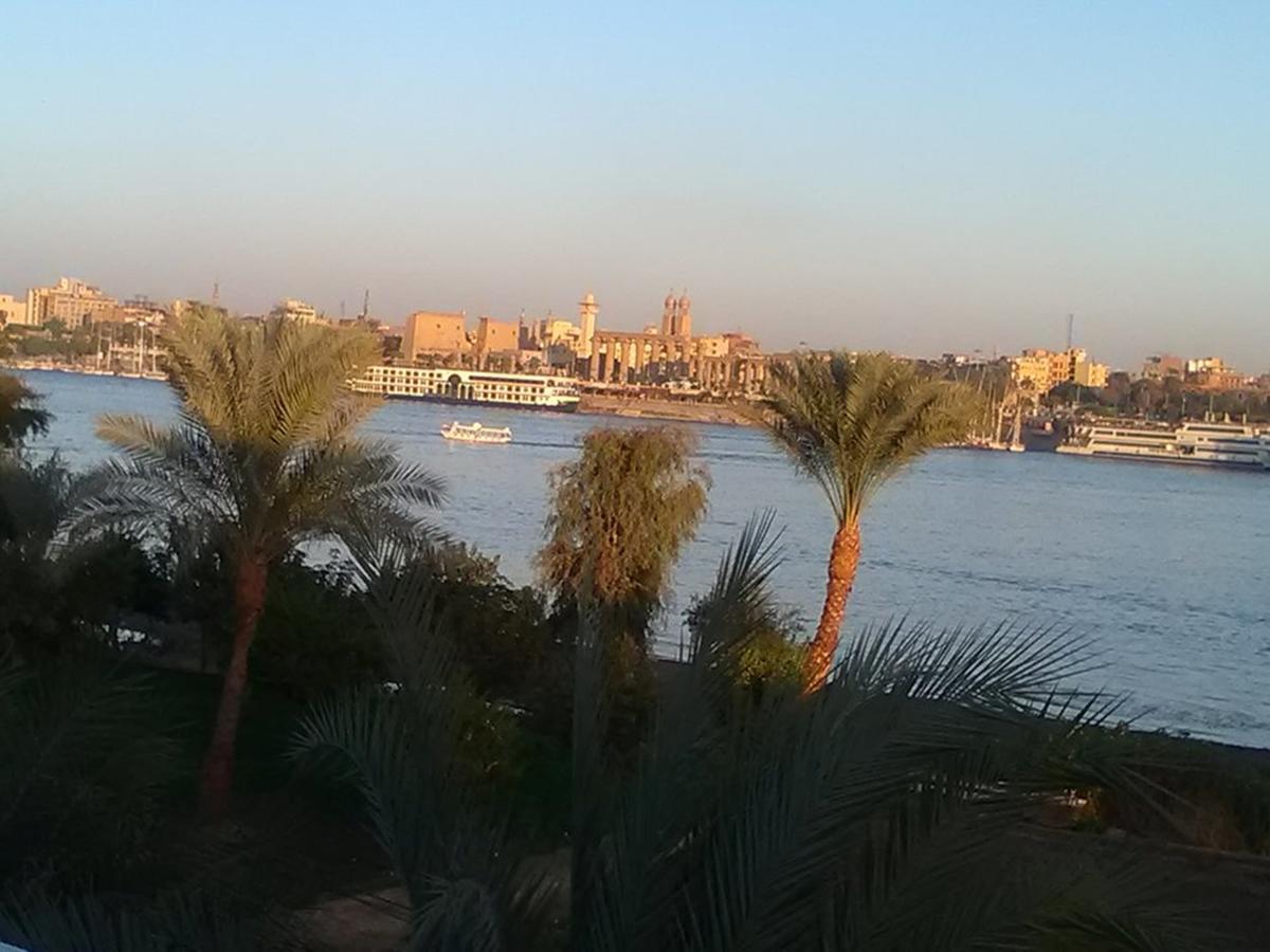 Luxor Guest House Bagian luar foto