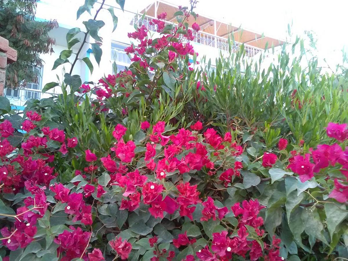 Luxor Guest House Bagian luar foto