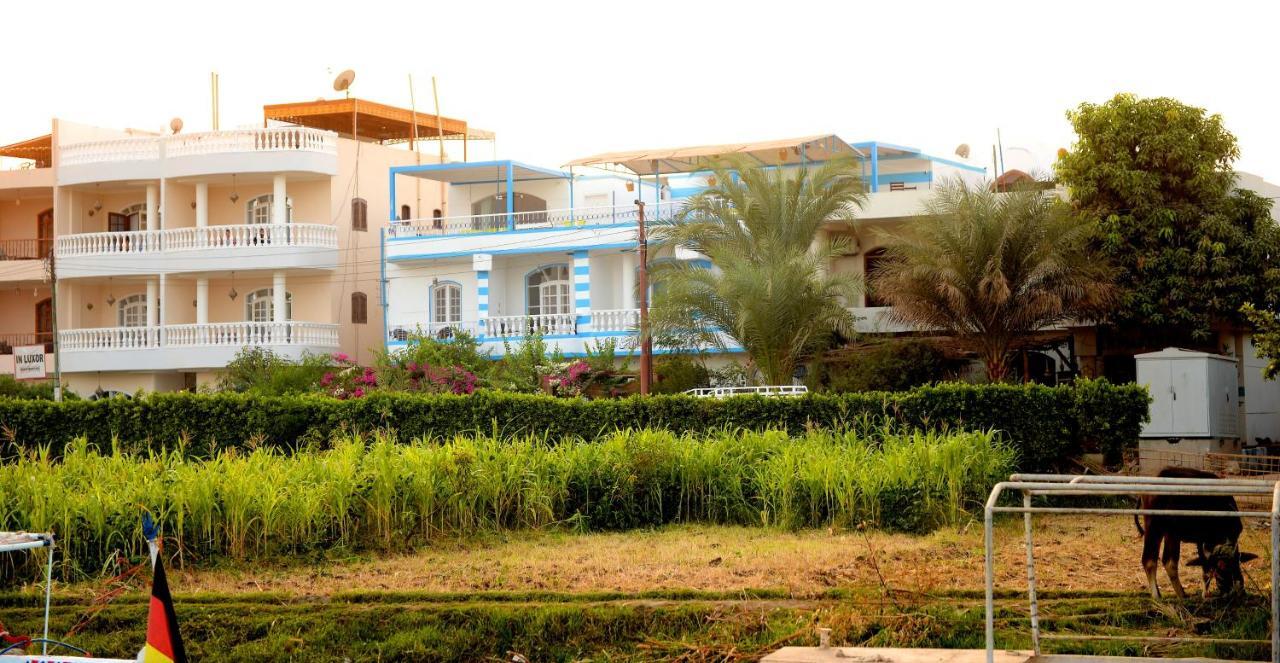 Luxor Guest House Bagian luar foto